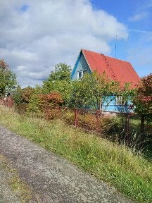 Ленинградская область, Тосненский район, Трубникоборское с/пос, Бабино садоводческий массив, Заря СНТ, 7-я линия