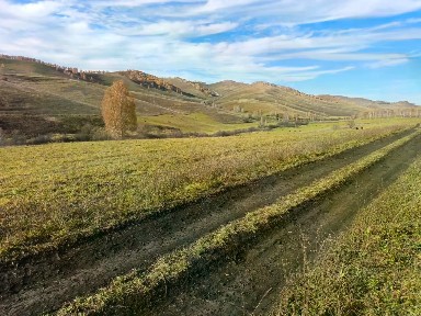 Продается участок, 20 сот.
