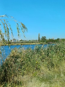 Ростовская область, Батайск, Огородная ул., 84к4