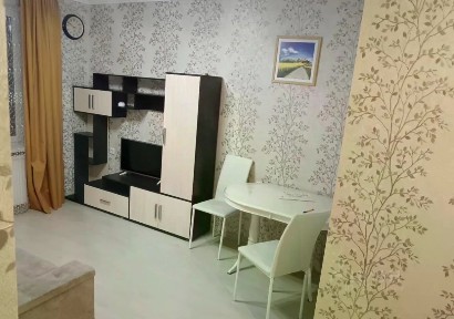Сдается 1-комн. квартира, 24 м²