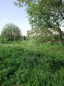 Продается участок, 12 сот.