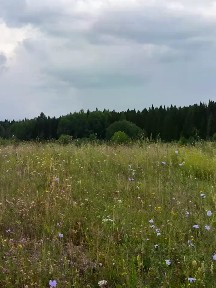 Продается участок, 6 сот.