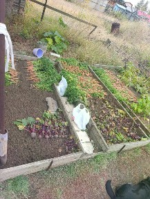 Продается 1-этажный дом, 30,3 м²