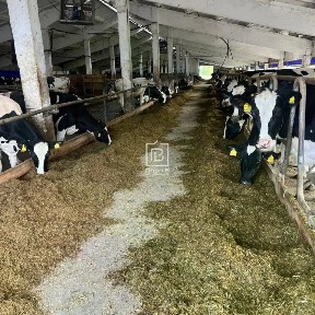 Продается производство, 14 000 000 м²