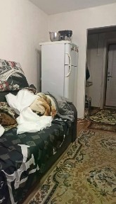 Сдается студия, 20 м²