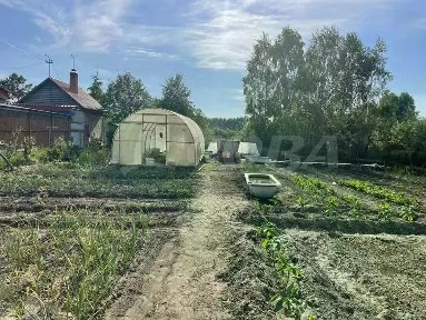 Тюменская область, Тюменский муниципальный округ, Промстроевец СНТ, ул. Строительная