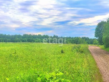 Продается участок, 520 сот.