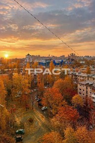 Воронежская область, Воронеж, р-н Советский, мкр. Юго-Западный, ул. Домостроителей, 9А