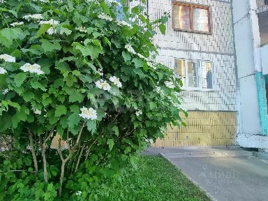 Продается 3-комн. квартира, 64,1 м²