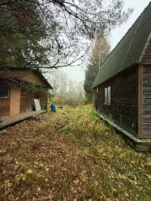 Московская область, Солнечногорск городской округ, Алмаз СНТ