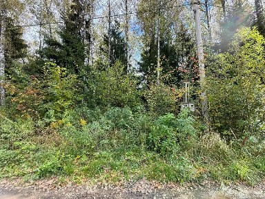 Московская область, Одинцовский городской округ, Луговая поселок