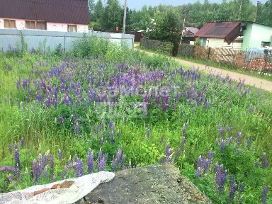 Продается участок, 9,5 сот.