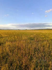 Продается участок, 36 сот.