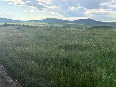 Продается участок, 200 сот.