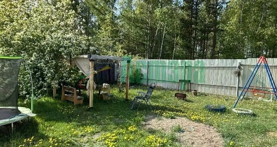 Забайкальский край, Читинский муниципальный округ, Огонек СНТ