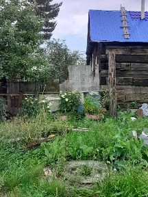 Забайкальский край, Чита, р-н Черновский, Березка садовое товарищество