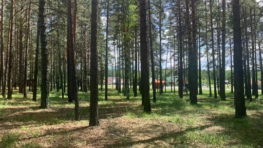 Продается участок, 100 сот.