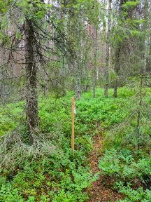 Мурманская область, Кандалакша городское поселение, Колвица село