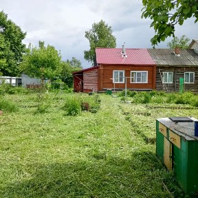 Сдается 1-этажный дом, 60 м²