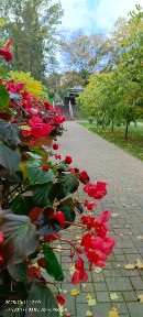 Сдается 1-этажный дом, 138,5 м²