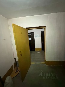 Сдается офис, 77 м²