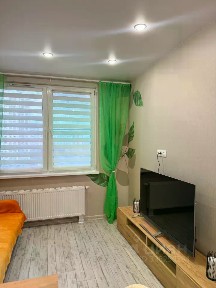 Сдается студия, 21,5 м²