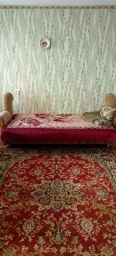 Сдается 1-комн. квартира, 34 м²