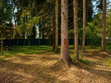 Московская область, Одинцовский городской округ, Звенигород, ул. Макарова