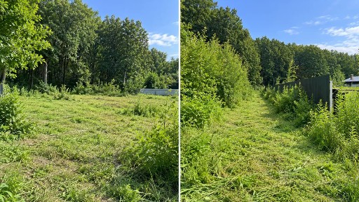 Московская область, Орехово-Зуевский городской округ, Дровосеки деревня