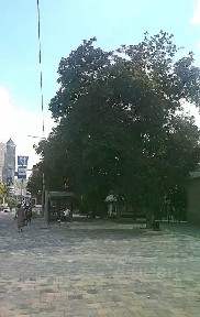 Сдается склад, 19 м²