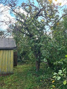 Продается участок, 4,57 сот.