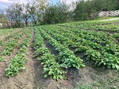 Продается участок, 15 сот.