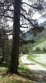 Продается участок, 591 сот.