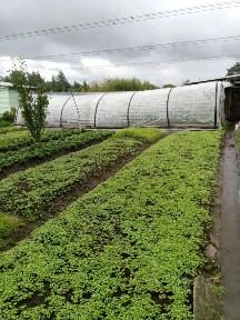Продается 2-этажный дом, 42 м²