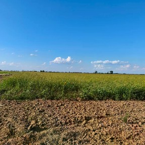 Продается готовый бизнес, 500 000 м²