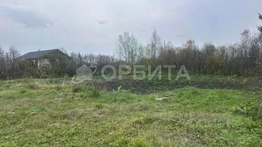 Тюменская область, Тюмень, Центральный, СОСН Березка-3 территория, ул. 24-я