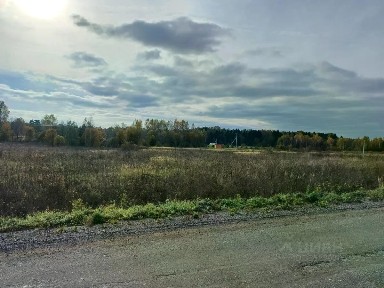 Продается участок, 315 сот.