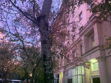 Продается 2-комн. квартира, 58,4 м²