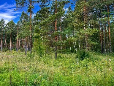 Продается участок, 19 сот.
