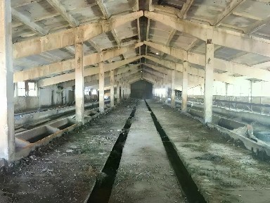 Продается помещение свободного назначения, 6 000 м²