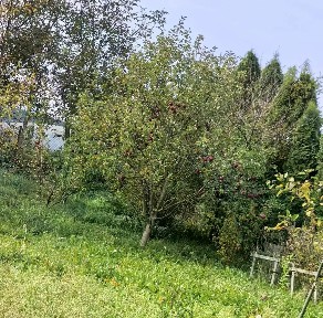 Московская область, Одинцовский городской округ, Юдино село, Спортивная ул.
