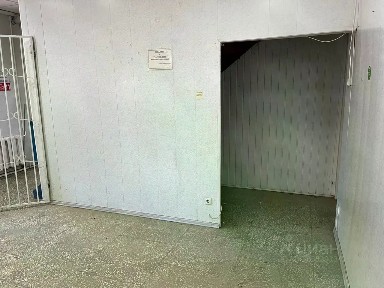 Сдается помещение свободного назначения, 19 м²