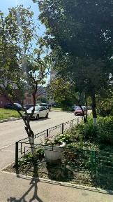Продается 2-комн. квартира, 54,1 м²