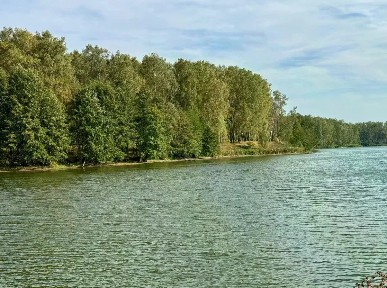 Продается участок, 8 сот.