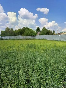 Продается участок, 7,5 сот.