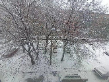 Сдается студия, 17 м²