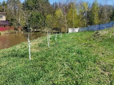 Продается участок, 35,8 сот.