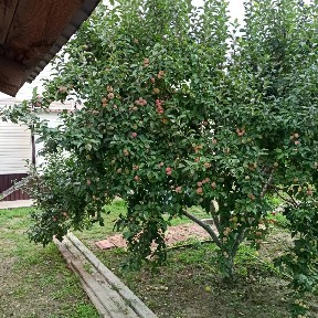 Продается 2-этажный коттедж, 113 м²