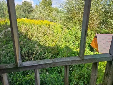 Продается 1-этажный дом, 54 м²
