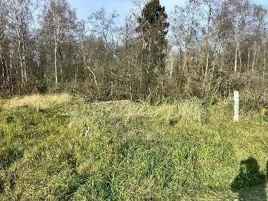 Московская область, Дмитровский муниципальный округ, Дубровки деревня